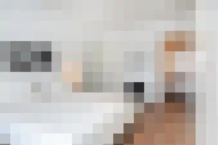 Laan van Meerdervoort 1336 Den Haag thumbnail 27