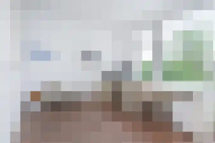Laan van Meerdervoort 1336 Den Haag thumbnail 30