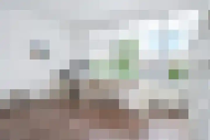 Laan van Meerdervoort 1336 Den Haag thumbnail 32