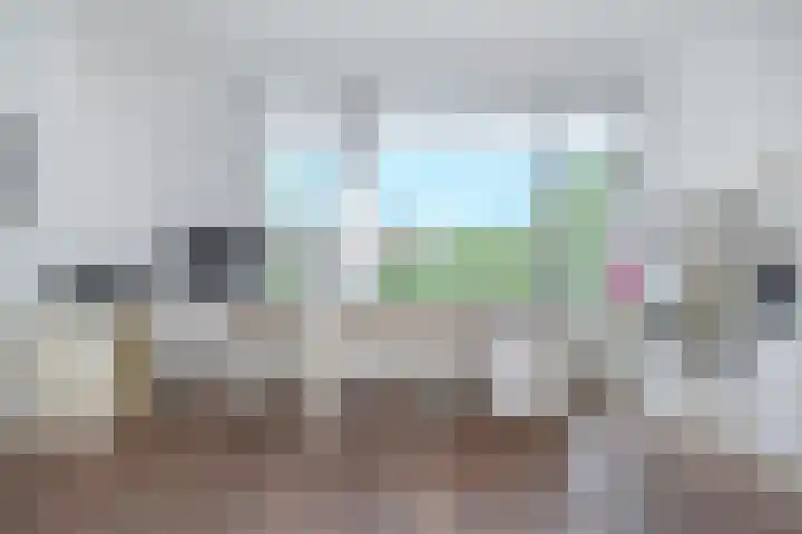 Laan van Meerdervoort 1336 Den Haag thumbnail 33