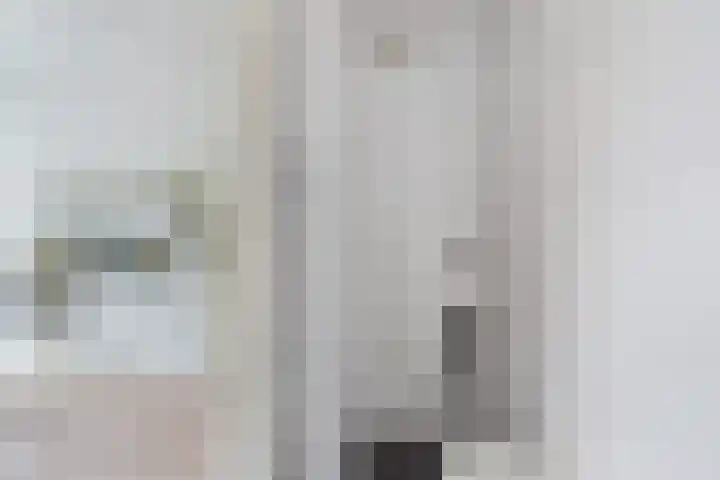 Laan van Meerdervoort 1336 Den Haag thumbnail 34