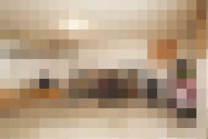 Laan van Meerdervoort 1336 Den Haag thumbnail 39