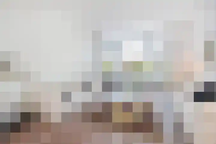 Laan van Meerdervoort 1336 Den Haag thumbnail 7