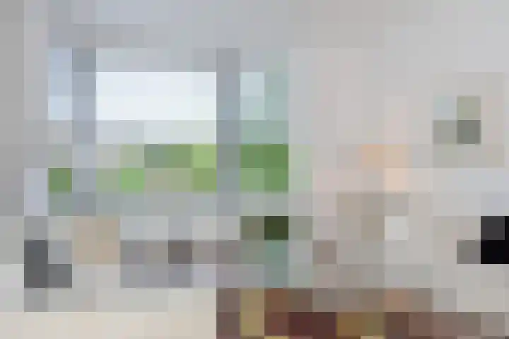 Laan van Meerdervoort 1336 Den Haag thumbnail 8