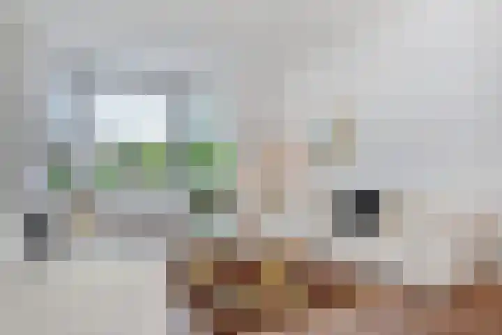 Laan van Meerdervoort 1336 Den Haag thumbnail 9