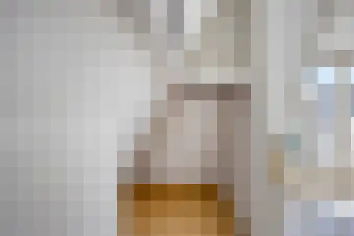 Laan van Meerdervoort 134 D Den Haag thumbnail 14