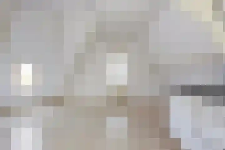 Laan van Meerdervoort 134 D Den Haag thumbnail 6