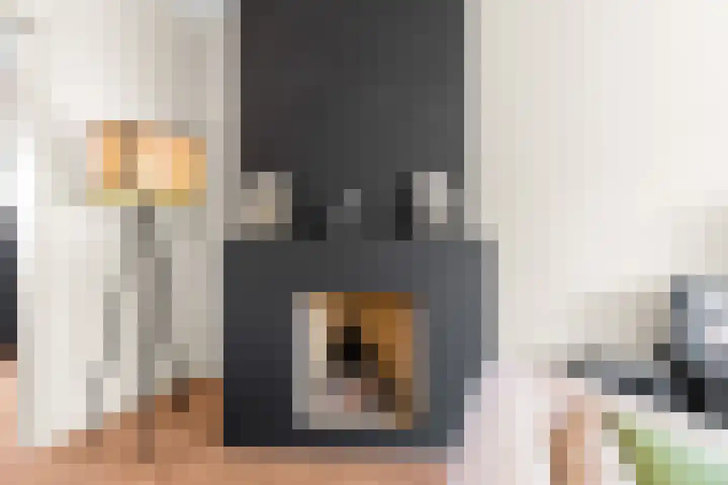 Laan van Meerdervoort 1355 Den Haag thumbnail 14
