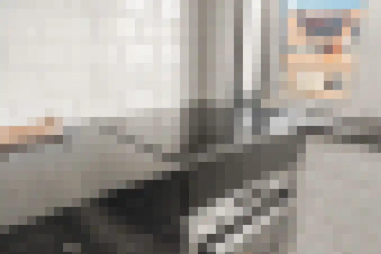 Laan van Meerdervoort 1355 Den Haag thumbnail 24