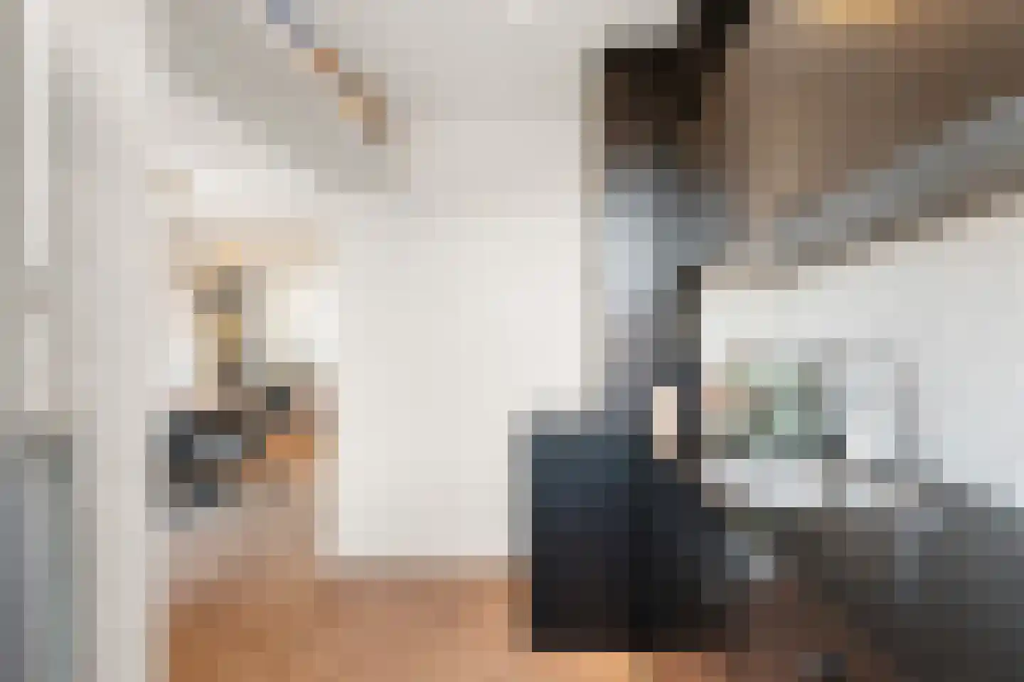 Laan van Meerdervoort 1355 Den Haag thumbnail 26
