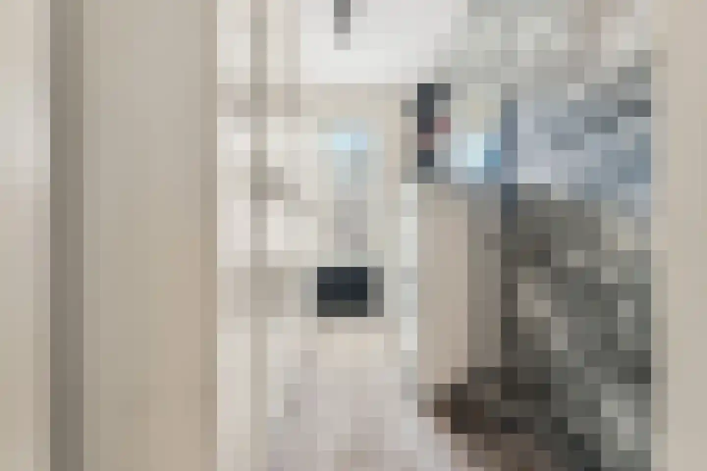Laan van Meerdervoort 1355 Den Haag thumbnail 37