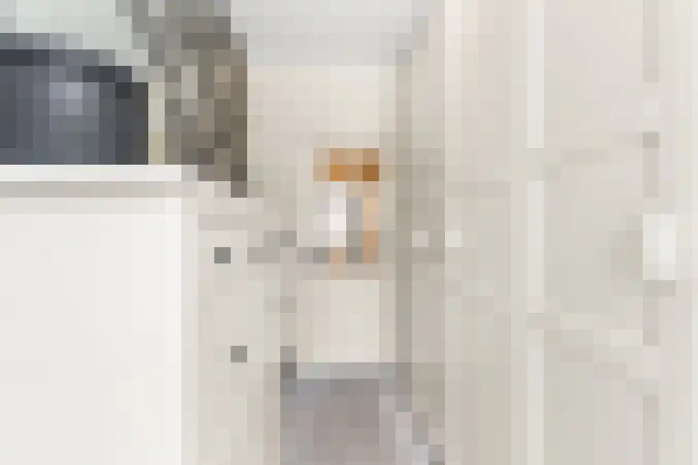 Laan van Meerdervoort 1355 Den Haag thumbnail 38