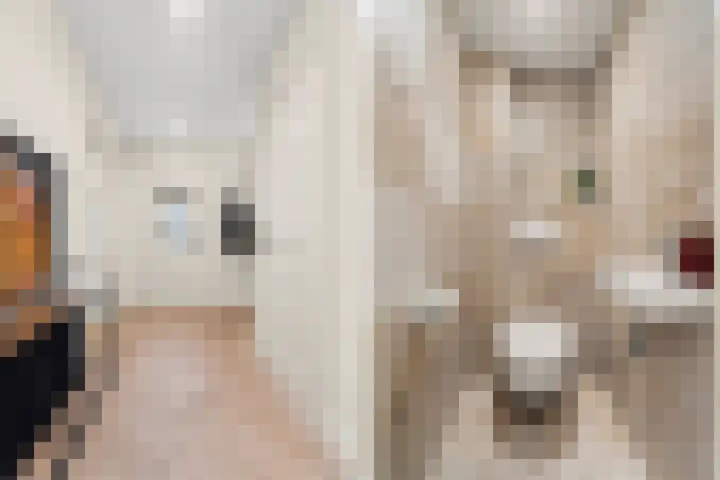 Laan van Meerdervoort 1355 Den Haag thumbnail 41