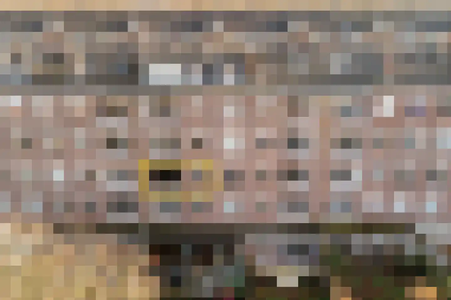 Laan van Meerdervoort 1355 Den Haag thumbnail 45