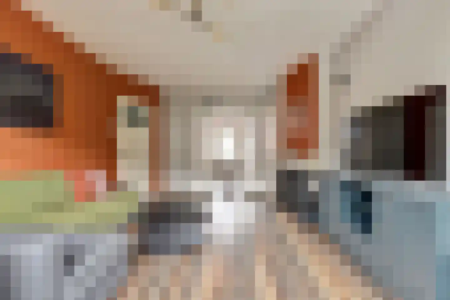Laan van Meerdervoort 1357 Den Haag thumbnail 12