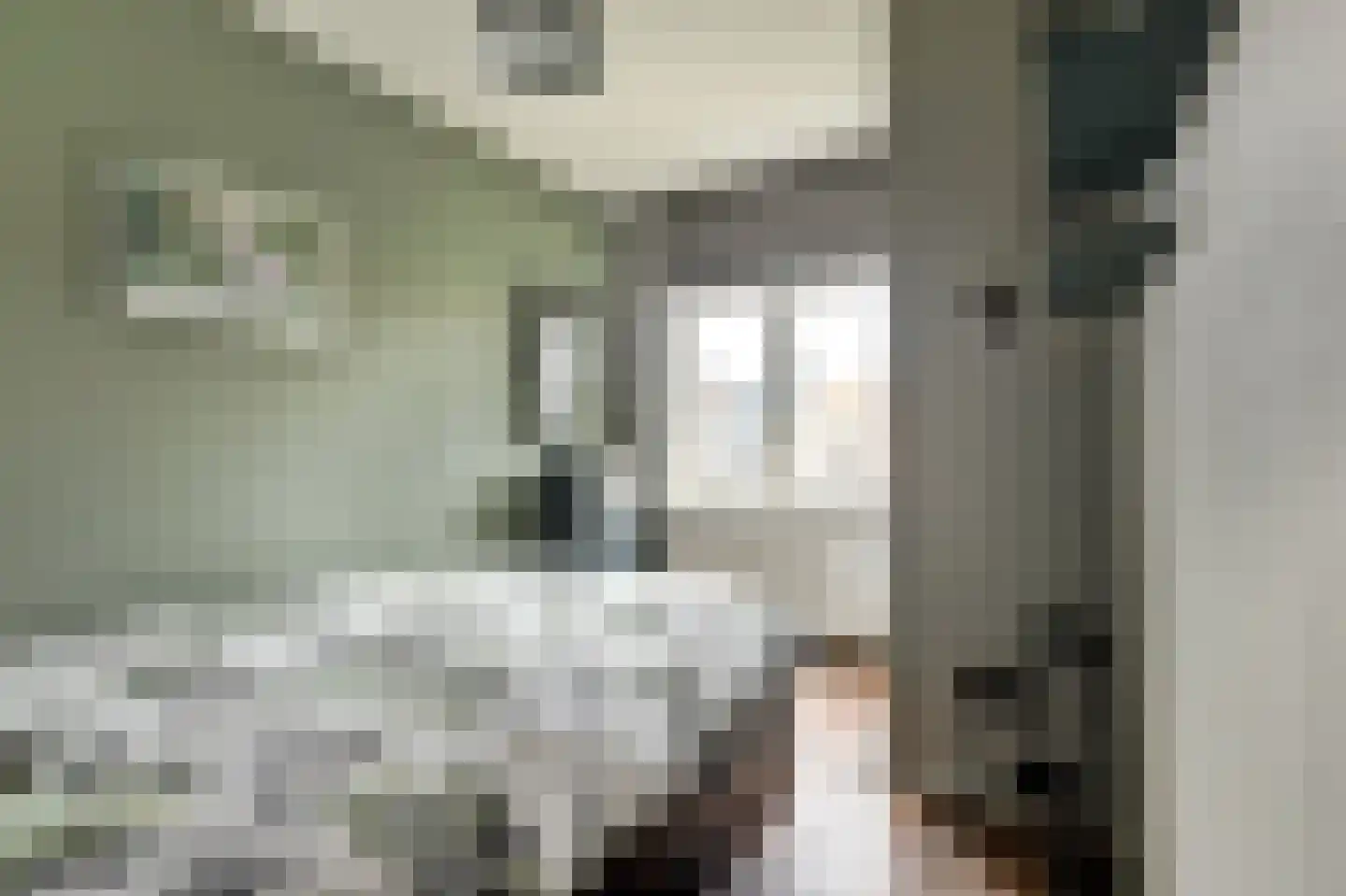 Laan van Meerdervoort 1357 Den Haag thumbnail 21