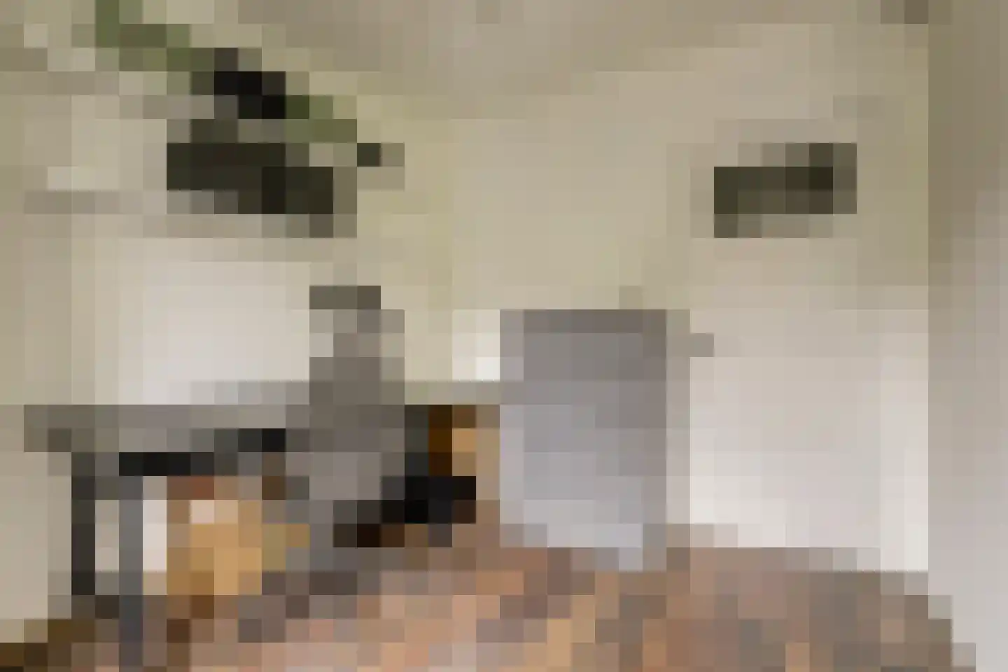 Laan van Meerdervoort 1357 Den Haag thumbnail 22