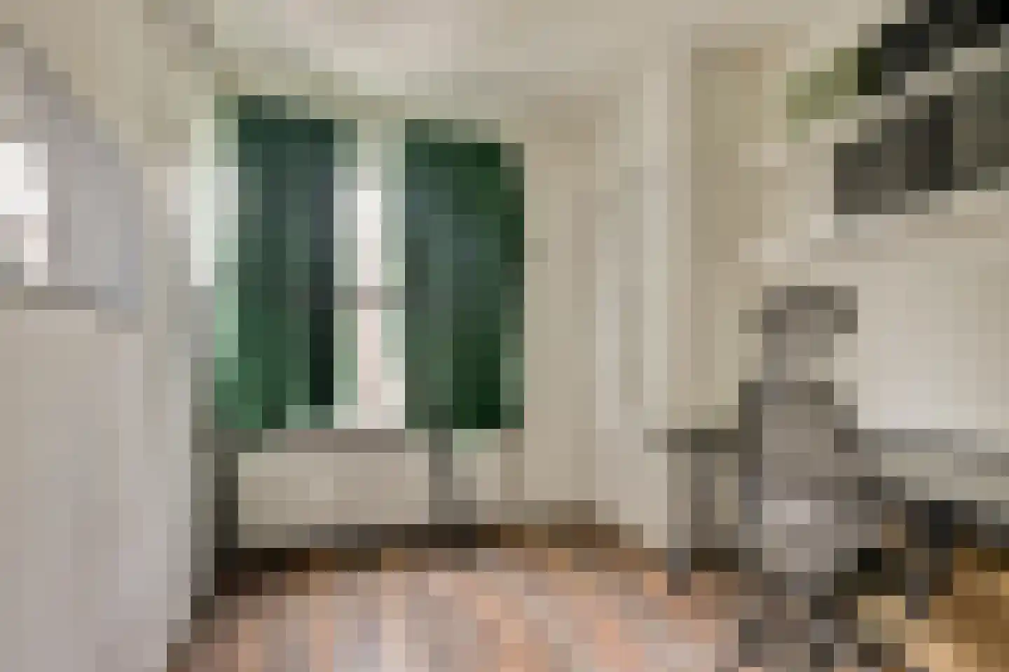 Laan van Meerdervoort 1357 Den Haag thumbnail 23