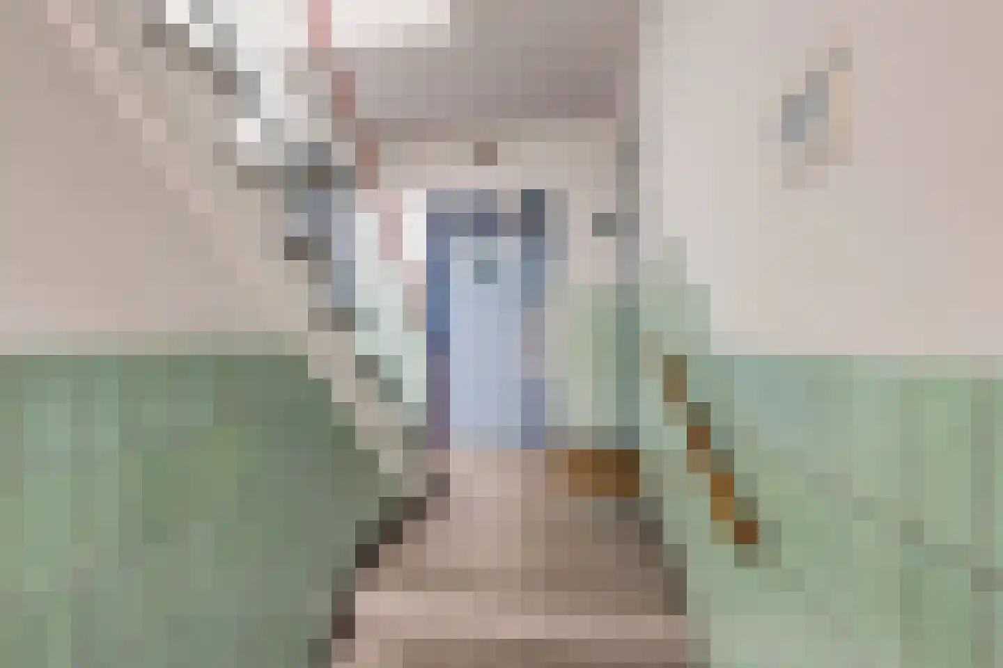 Laan van Meerdervoort 1357 Den Haag thumbnail 5