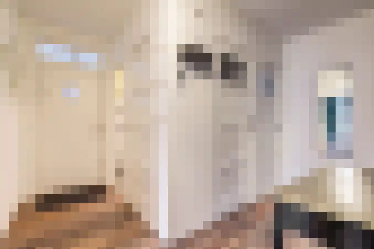 Laan van Meerdervoort 1357 Den Haag thumbnail 7