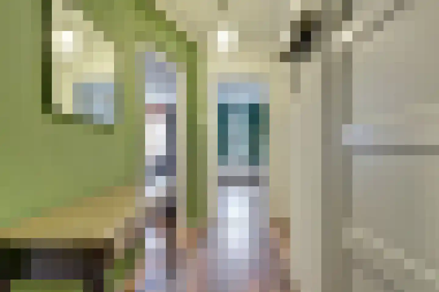 Laan van Meerdervoort 1357 Den Haag thumbnail 8