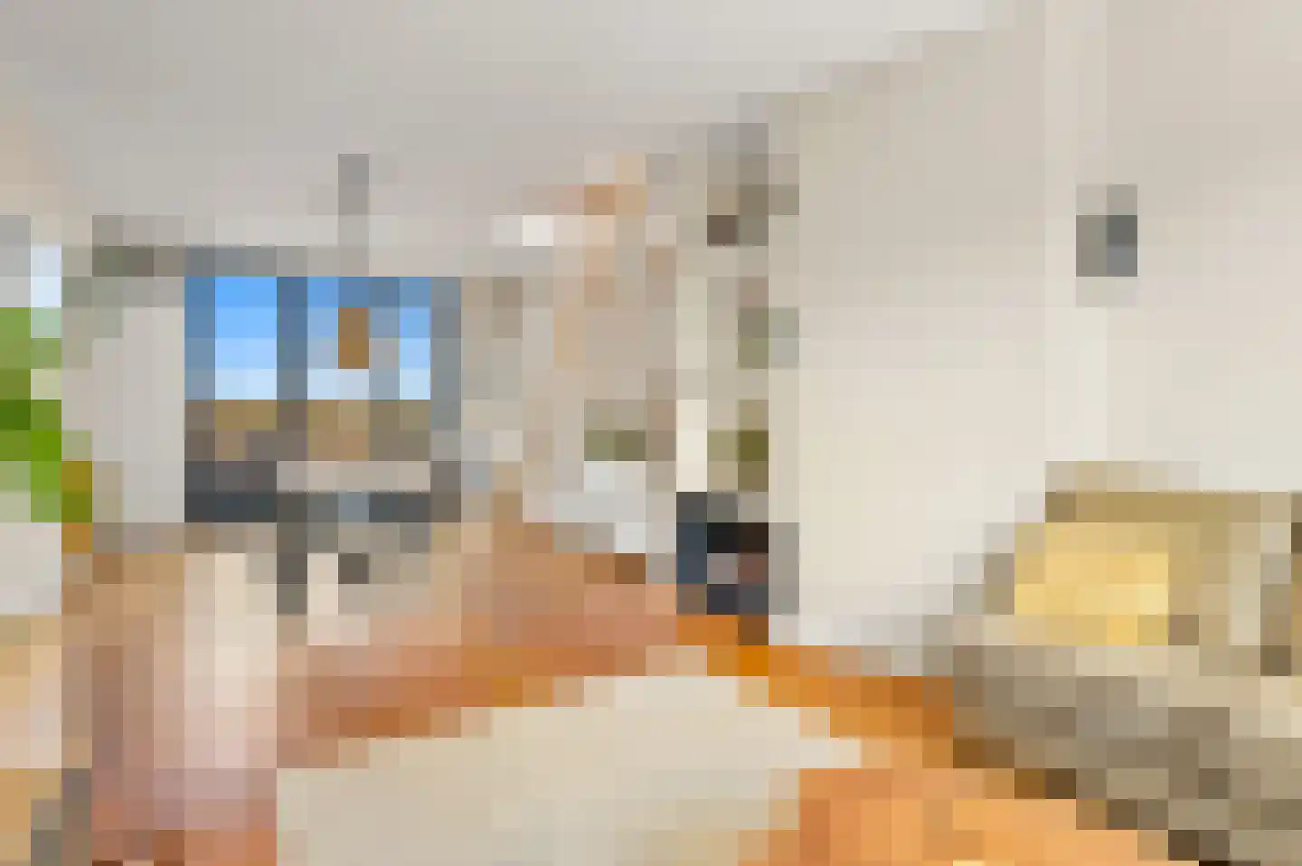 Laan van Meerdervoort 1359 Den Haag thumbnail 11