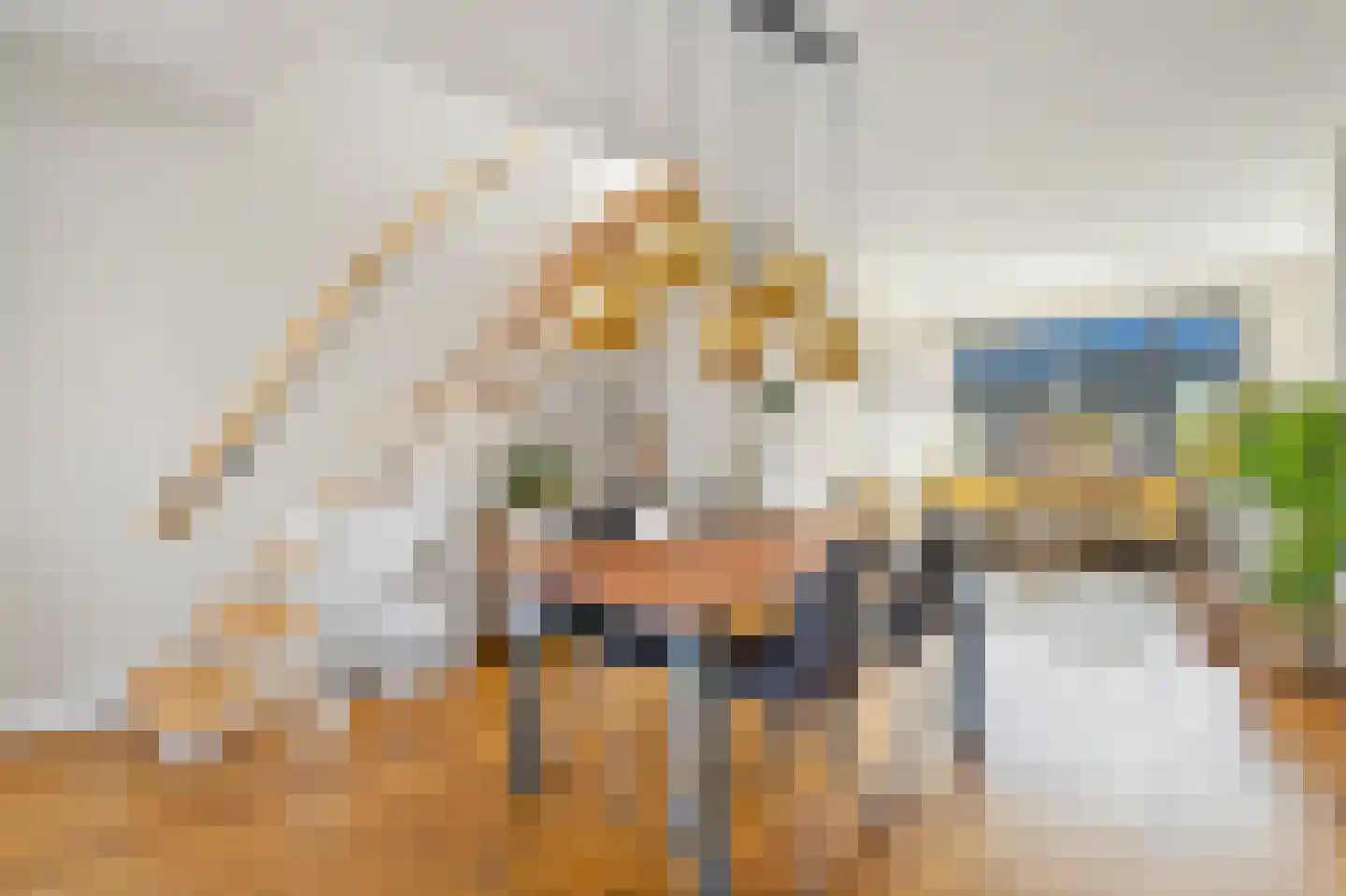 Laan van Meerdervoort 1359 Den Haag thumbnail 14