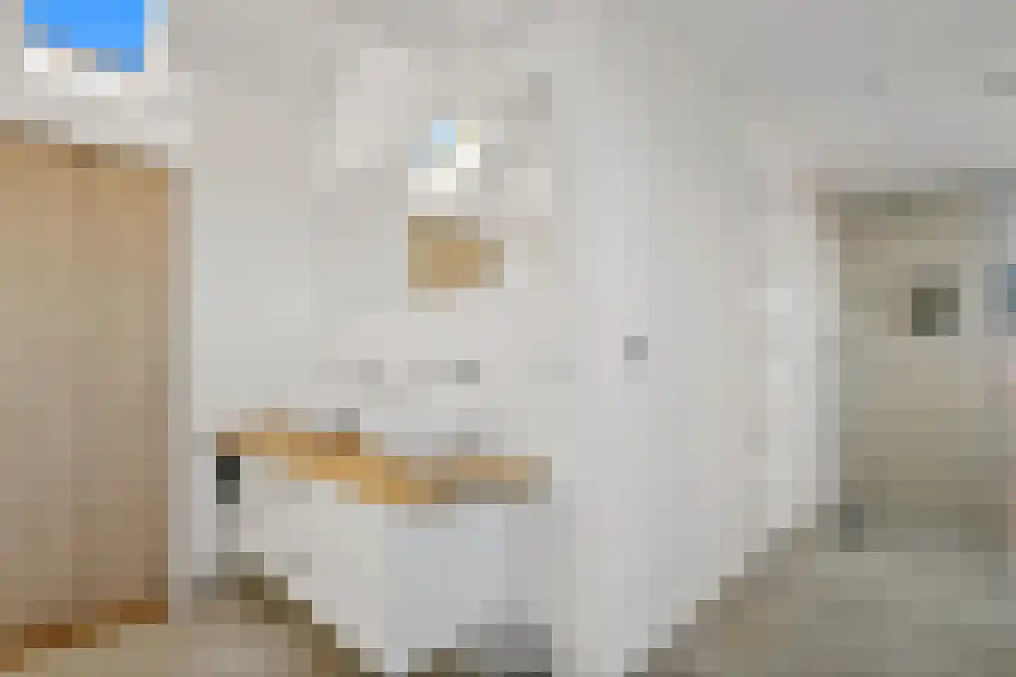 Laan van Meerdervoort 1359 Den Haag thumbnail 5
