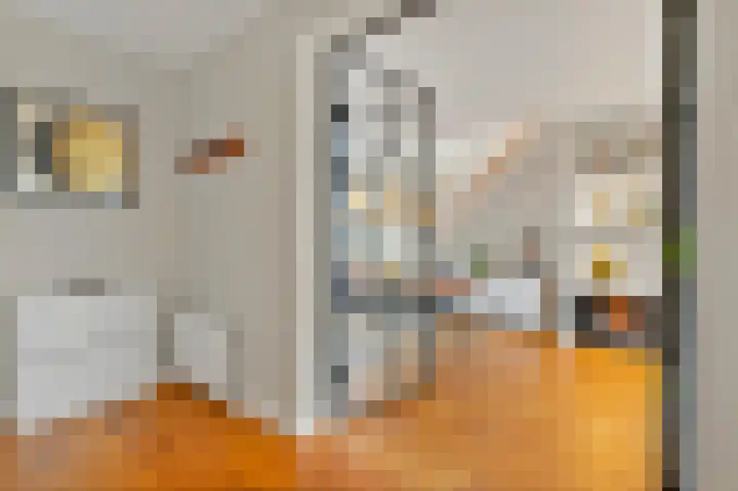 Laan van Meerdervoort 1359 Den Haag thumbnail 6