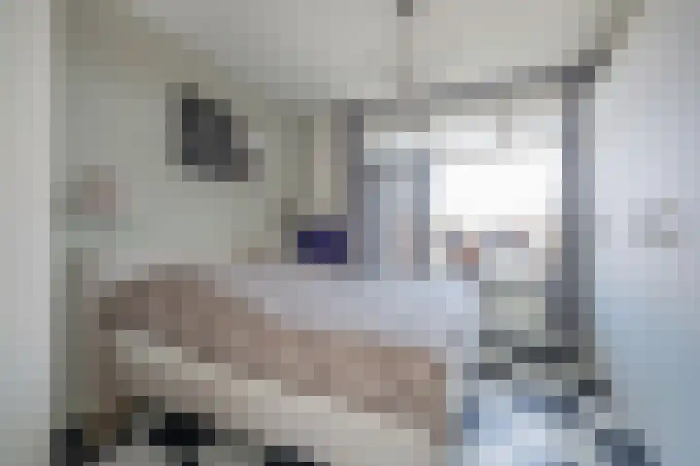 Laan van Meerdervoort 1367 Den Haag thumbnail 13