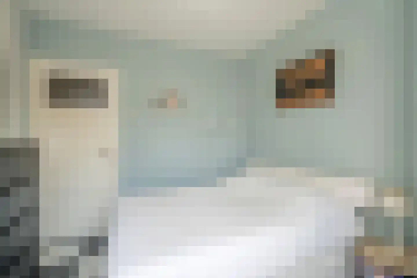 Laan van Meerdervoort 1367 Den Haag thumbnail 20