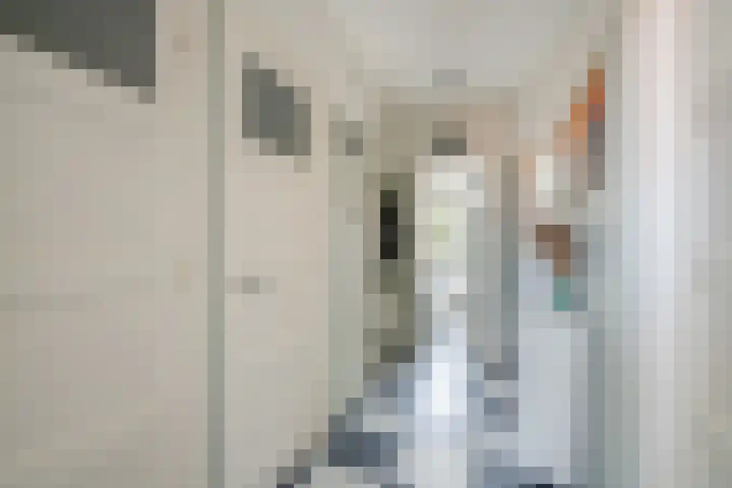 Laan van Meerdervoort 1367 Den Haag thumbnail 6