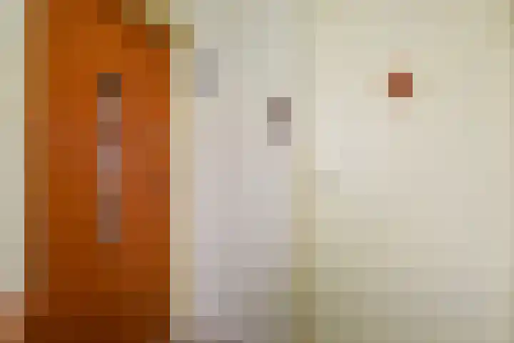 Laan van Meerdervoort 1372 Den Haag thumbnail 10