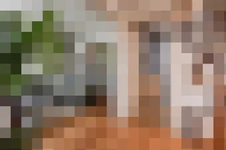 Laan van Meerdervoort 1372 Den Haag thumbnail 12