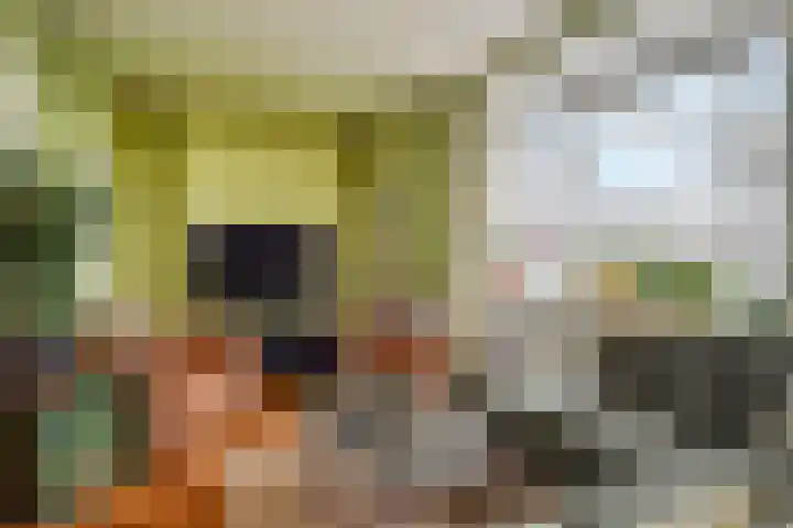 Laan van Meerdervoort 1372 Den Haag thumbnail 14