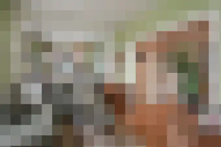 Laan van Meerdervoort 1372 Den Haag thumbnail 15
