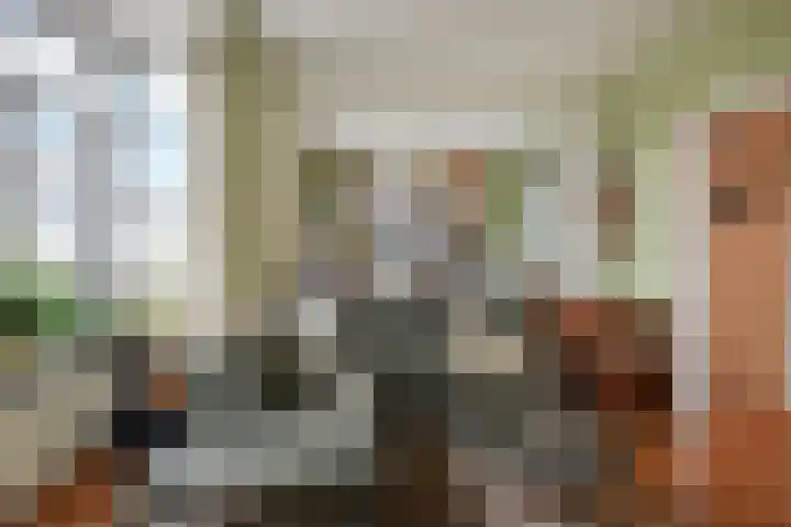 Laan van Meerdervoort 1372 Den Haag thumbnail 16