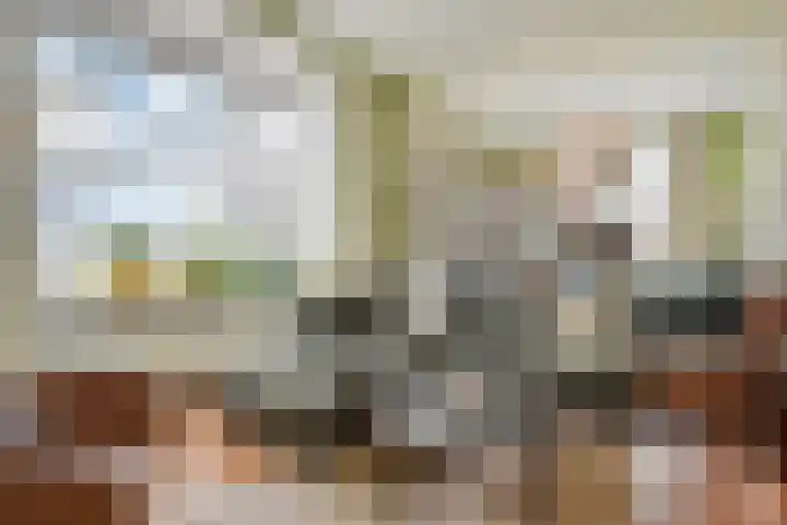 Laan van Meerdervoort 1372 Den Haag thumbnail 17