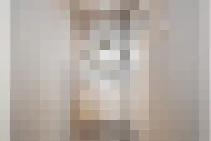 Laan van Meerdervoort 1372 Den Haag thumbnail 30