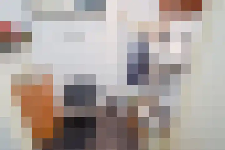 Laan van Meerdervoort 1372 Den Haag thumbnail 33