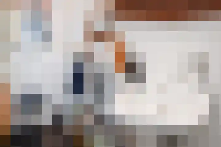 Laan van Meerdervoort 1372 Den Haag thumbnail 34