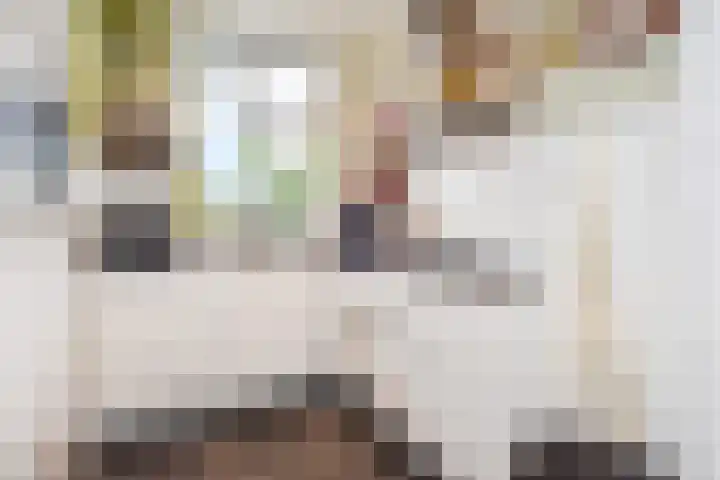 Laan van Meerdervoort 1372 Den Haag thumbnail 4