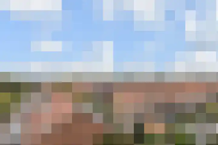 Laan van Meerdervoort 1372 Den Haag thumbnail 5