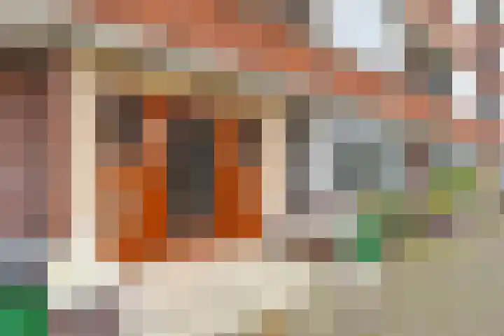 Laan van Meerdervoort 1372 Den Haag thumbnail 7