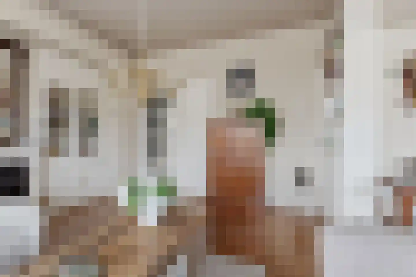 Laan van Meerdervoort 1378 Den Haag thumbnail 12