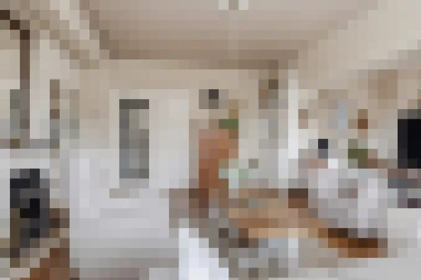 Laan van Meerdervoort 1378 Den Haag thumbnail 13