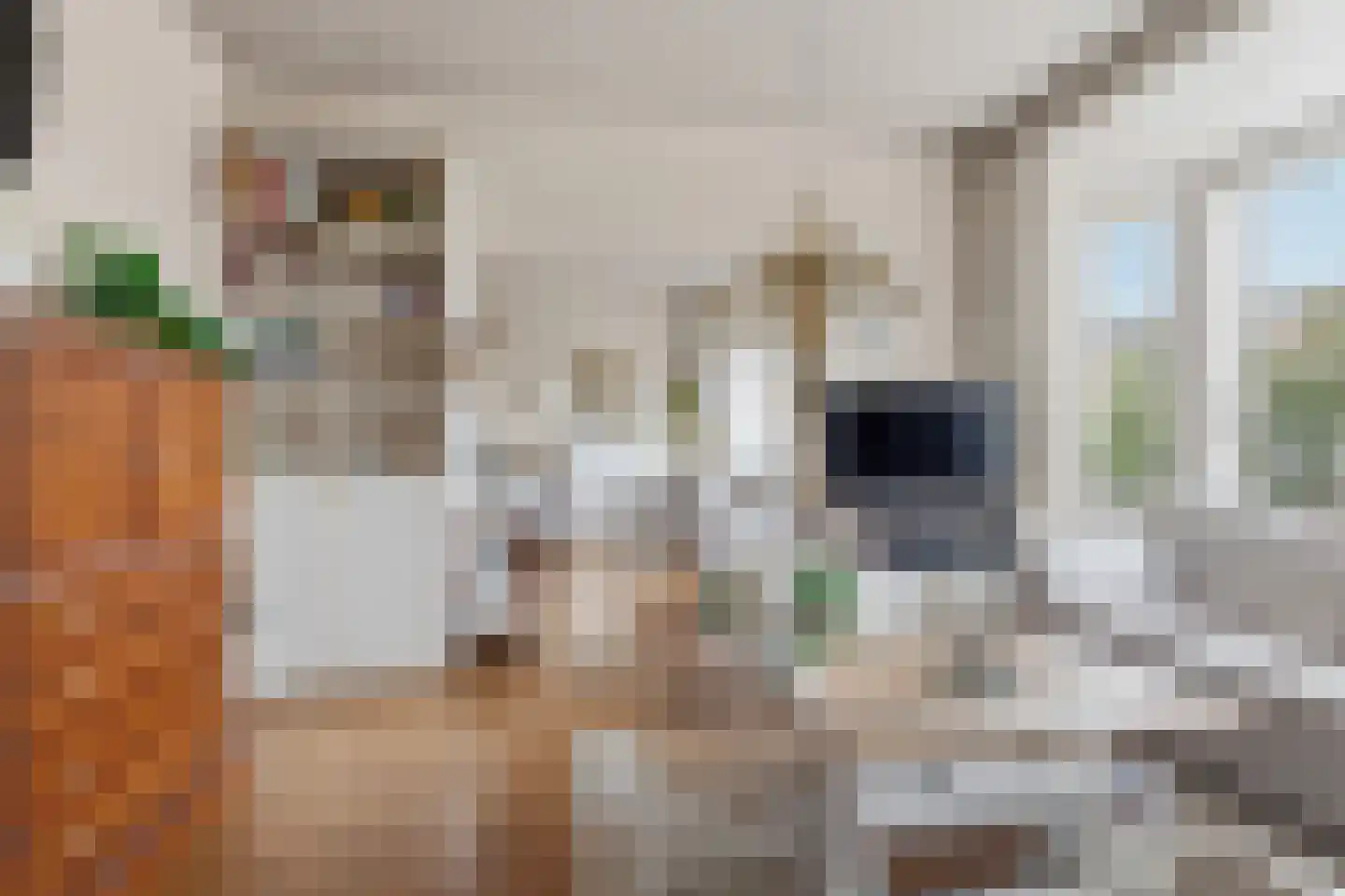 Laan van Meerdervoort 1378 Den Haag thumbnail 14