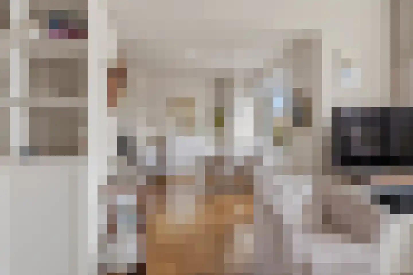 Laan van Meerdervoort 1378 Den Haag thumbnail 15