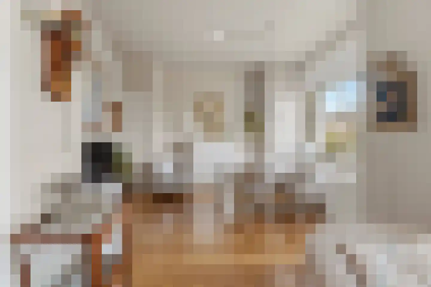 Laan van Meerdervoort 1378 Den Haag thumbnail 17