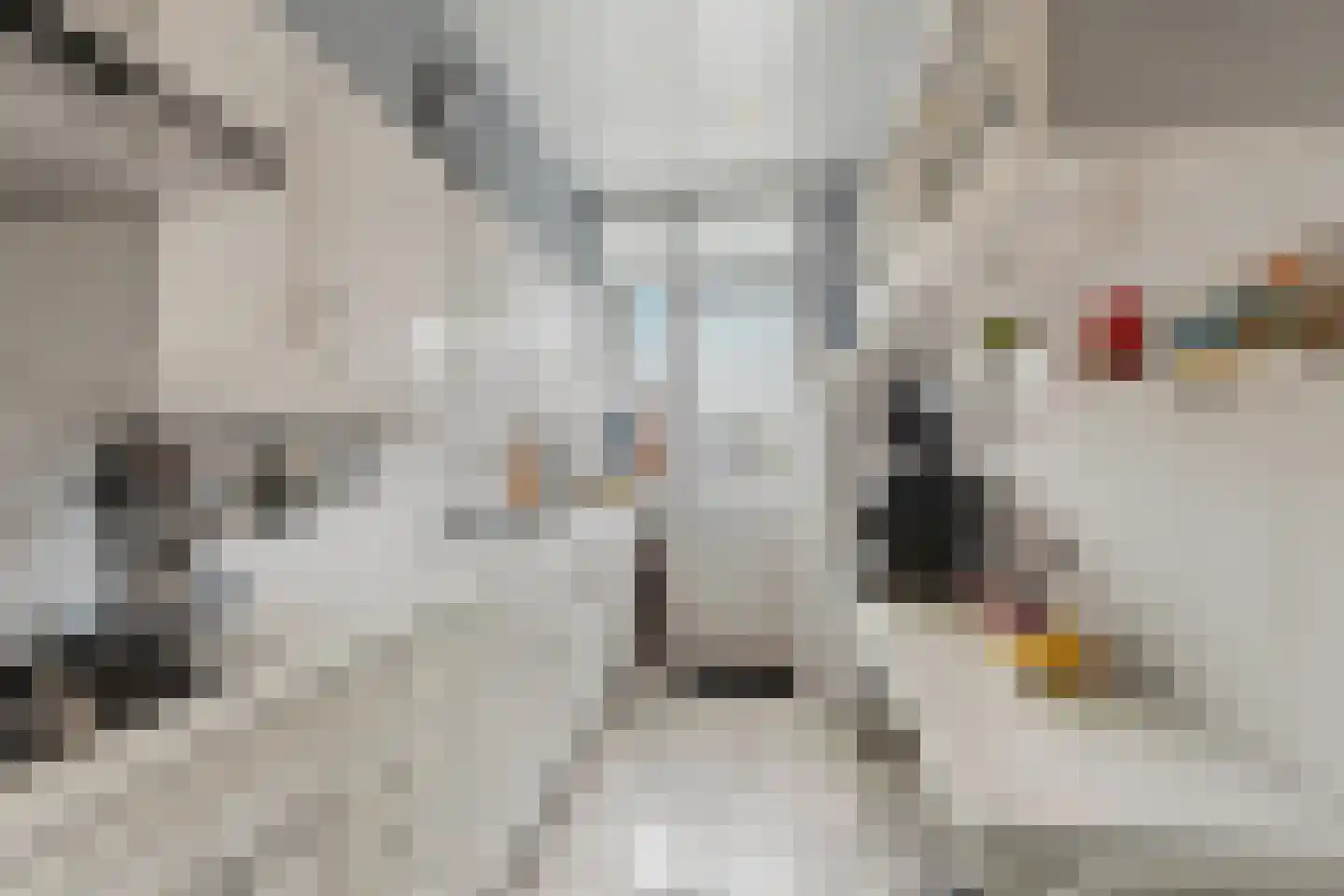 Laan van Meerdervoort 1378 Den Haag thumbnail 22